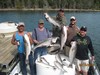 (09/19/2015) - Nice Striped Bass
